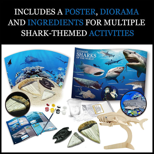 WILD ENVIRONMENTAL SCIENCE Extreme Sharks of the World Craft Kit - Study Models and Dioramas for Ages 6+