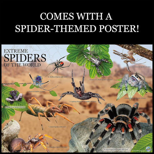 WILD ENVIRONMENTAL SCIENCE Extreme Spiders of the World - Create and Customize Models for Ages 6+