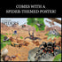 WILD ENVIRONMENTAL SCIENCE Extreme Spiders of the World - Create and Customize Models for Ages 6+