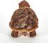 9 Inches The Petting Zoo Tortoise Stuffed Animal Plushie, Gifts for Kids, Wild Onez Farm Animals, Tortoise Plush Toy