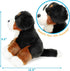 VIAHART Bastien The Bernese Mountain Dog | 13 Inch Stuffed Animal Plush | by TigerHart Toys