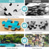 Jeacirio 500 500 500 21 15 Piece Puzzles for Adults, Beach Jigsaw Puzzle Pieces, Seaside Puzzles Pieces for Adults