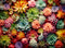 1000 Piece Puzzle for Adults - Succulent Plants Family Puzzle Gift (Succulent, 1000 pieces)