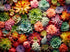 1000 Piece Puzzle for Adults - Succulent Plants Family Puzzle Gift (Succulent, 1000 pieces)