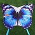 Mint's Colorful Life Butterfly Kite - Easy to Fly, Large Single Line Kite with 300ft String Handle