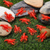100 Lewtemi Pcs Mini Fake Lobster Toys Decorations Red Rubber Realistic Soft Decors Food Models for Crawfish Boil Party