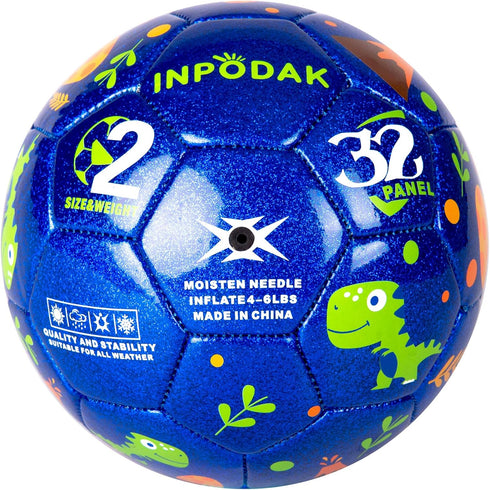 EVERICH TOY Size 2 Soccer Balls for Kids, Sport Ball for Toddlers, Backyard Lawn Outdoor Toys with Pump