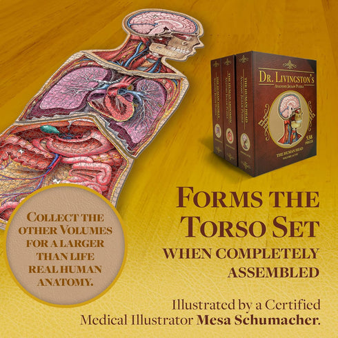 Genius Games Human Abdomen Anatomy Jigsaw Puzzle - Unique Shaped Science Puzzles with Accurate Illustrations