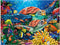 Turtles Ocean