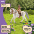 7 Playset 5+ 41433 Schleich Horse Club - PC Rider and Horse Toy with Accessories - Realistic Rider and Lipizzaner Mare