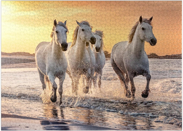 MyPuzzle White Camargue Horses Galloping On A Beach in France - Premium