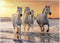 MyPuzzle White Camargue Horses Galloping On A Beach in France - Premium