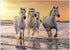 MyPuzzle White Camargue Horses Galloping On A Beach in France - Premium