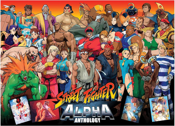 Toynk Street Fighter Collage 1000-Piece Jigsaw Puzzle for Adults - Educational Developmental Toys & Games