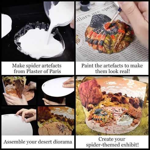 WILD ENVIRONMENTAL SCIENCE Extreme Spiders of the World - Create and Customize Models for Ages 6+