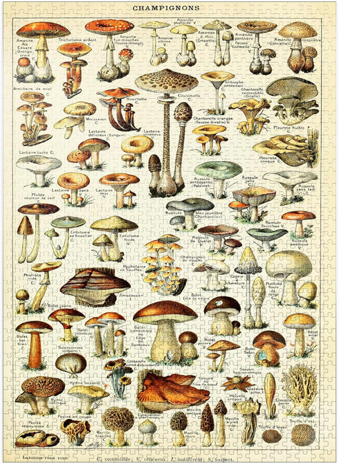 MyPuzzle Champignons - Vintage Art Poster, Adolphe Millot - Premium 1000 Piece Jigsaw Puzzle for Adults