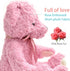 20" suepcuddly Posed Teddy Bear Stuffed Animal Cute Plush Toy for Girl Kids (Pink)