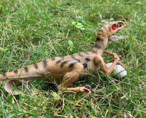 Gemini&Genius Velociraptor Dinosaur Toy for Kids, 7.8 Inches Oviraptor Action Figure with Moveable Parts