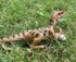 Gemini&Genius Velociraptor Dinosaur Toy for Kids, 7.8 Inches Oviraptor Action Figure with Moveable Parts
