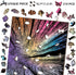 BBOLDIN 210 Hard Impossible Wooden Puzzles for Adults Piece, Challenging Difficult Wood Puzzles for Adults, Colorful