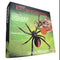 WILD ENVIRONMENTAL SCIENCE Extreme Spiders of the World - Create and Customize Models for Ages 6+