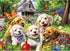 Nitktaia 300 Piece Puzzles for Adults, Garden Dog Jigsaw Puzzle for Children Elderly,