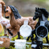 Breyer Horses Stablemates Horse Crazy Colorful Breed Paint Set | 5 Piece Set | Model #4234