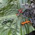 Plastic Lizard Toys - Realistic Rubber Reptile Figures for Halloween Party Decoration, 12Pcs