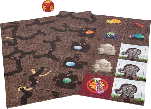 Ant Colony Cooperative Board Game - No Reading Required, Encourages Teamwork for 2 to 6 Players