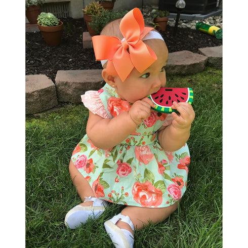 BPA Free Watermelon Fruit Teethers for Babies, Happy Baby Food Teether, Infant Toddler Silicone Chewing Toy