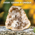Break Open A Gigantic Geode, Large Geode with Crystals, Earth Science Kit for Kids, Gifts for Rock Collectors