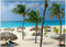 MyPuzzle Eagle Beach, Aruba Premium 1000 Piece Jigsaw Puzzle for Adults in Leeward Islands, Caribbean