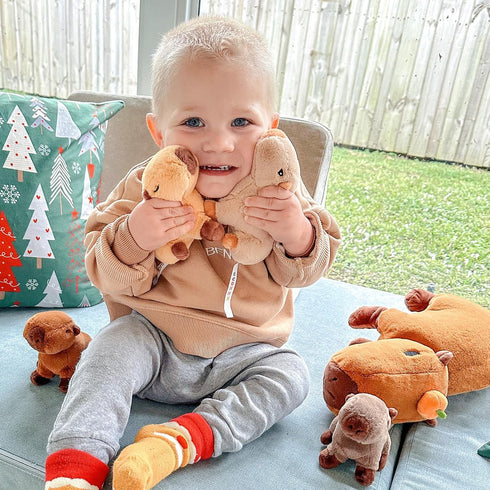 OUOZZZ 5-in-1 Mommy 4 (3+ Capybara Plush Toy, Large Capybara Stuffed Animal with Removable Babies Inside, Unique