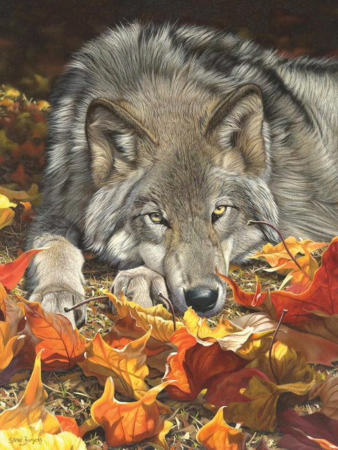 Ceaco Wolf's Contemplation - 500 Piece Jigsaw Puzzle