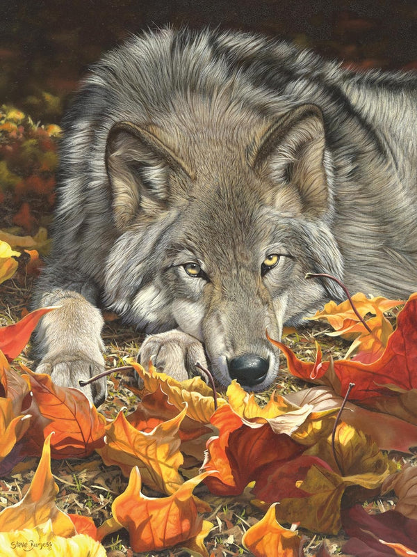 Ceaco Wolf's Contemplation - 500 Piece Jigsaw Puzzle