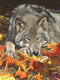 Ceaco Wolf's Contemplation - 500 Piece Jigsaw Puzzle