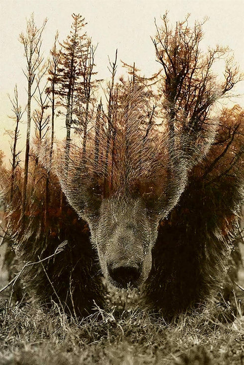 WOZUIBAN Adult Puzzle Classic Jigsaw 1000 Pieces - Wooden Puzzle DIY Forest Map Bear, Unique Gift, 75x50cm