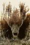 WOZUIBAN Adult Puzzle Classic Jigsaw 1000 Pieces - Wooden Puzzle DIY Forest Map Bear, Unique Gift, 75x50cm