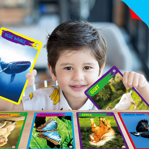 My First 120 Animals, 60PCS Realistic Zoo Animal Flashcards for Montessori & Science Educational Toys