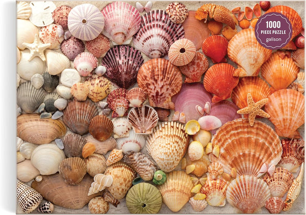 Galison Vibrant Seashells Christine Chitnis 1000 Piece Puzzle Featuring Chromatic Seashell Arrangement on Sand
