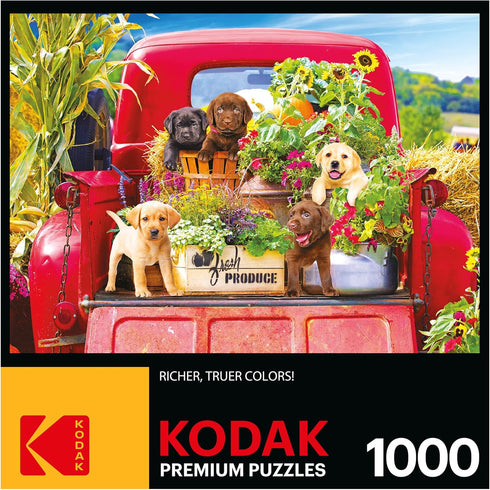 RoseArt - Kodak Premium - Stowaways - 1000 Piece Jigsaw Puzzle for Adults