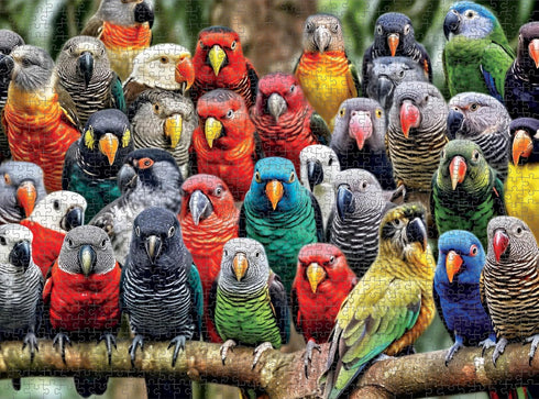 Cross & Glory Kaleidoscope of Feathers: Premium 1000 Piece Jigsaw Puzzle for Adults - Unique Bird Artwork