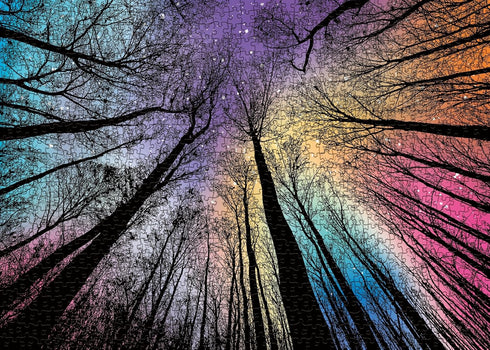 Hard Impossible Puzzles for Adults 1000 Piece, Challenging Difficult Puzzles for Adults, Colorful Gradient Jigsaw Puzzle for Adult