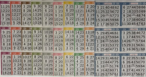 The Ticket Gurus Bingo Paper Game Cards - 6 Cards, 10 Sheets, 100 Books