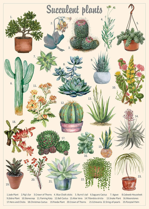 Vintage Succulent Puzzles for Adults - 1000 Pieces - Cactus Jigsaw Puzzle Featuring 23 Succulent Plants