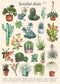 Vintage Succulent Puzzles for Adults - 1000 Pieces - Cactus Jigsaw Puzzle Featuring 23 Succulent Plants