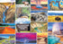 Better Me Yellowstone National Park, 1000 Piece Puzzle, Ideal for Hikers, Travelers, Adults & Teens