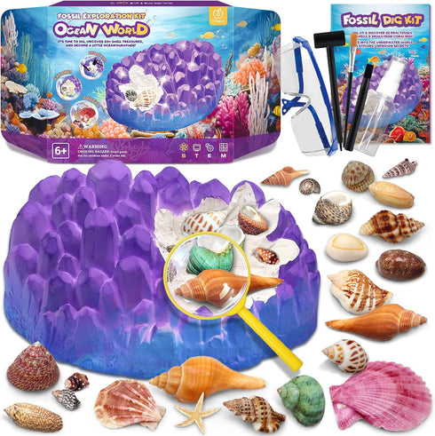 PIBEX Ocean Fossil Dig Kit, Dig up 20+ Real Shells & Seasnails,