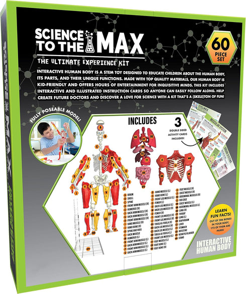 Be Amazing! Toys Interactive Human Body - 60 Piece Fully Poseable Anatomy Figure, 14” Tall Model with Removable