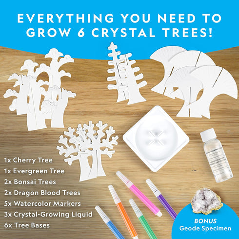 Kids Crystal Growing Kit, Grow 6 Crystal Trees in 6 Hours, Educational STEM Craft Kit with Art Supplies